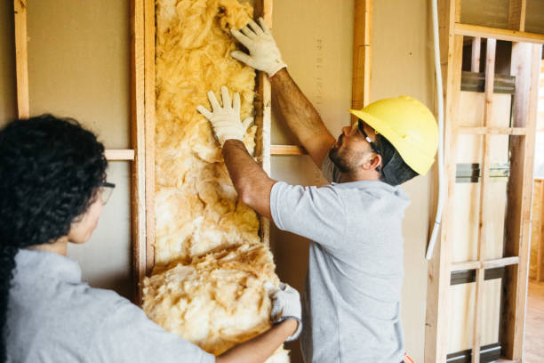 Best Spray Foam Insulation  in Ashburn, GA